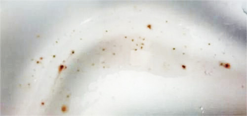 電熱鍋使用成本高嗎？不銹鋼鍋會(huì)生銹嗎？